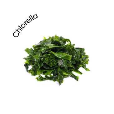 Chlorella