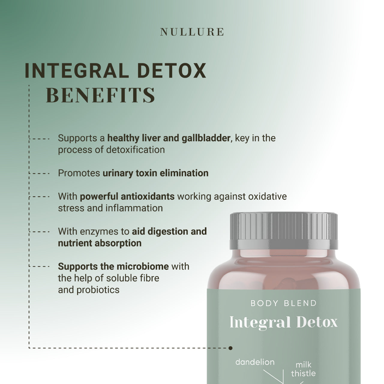Integral Detox