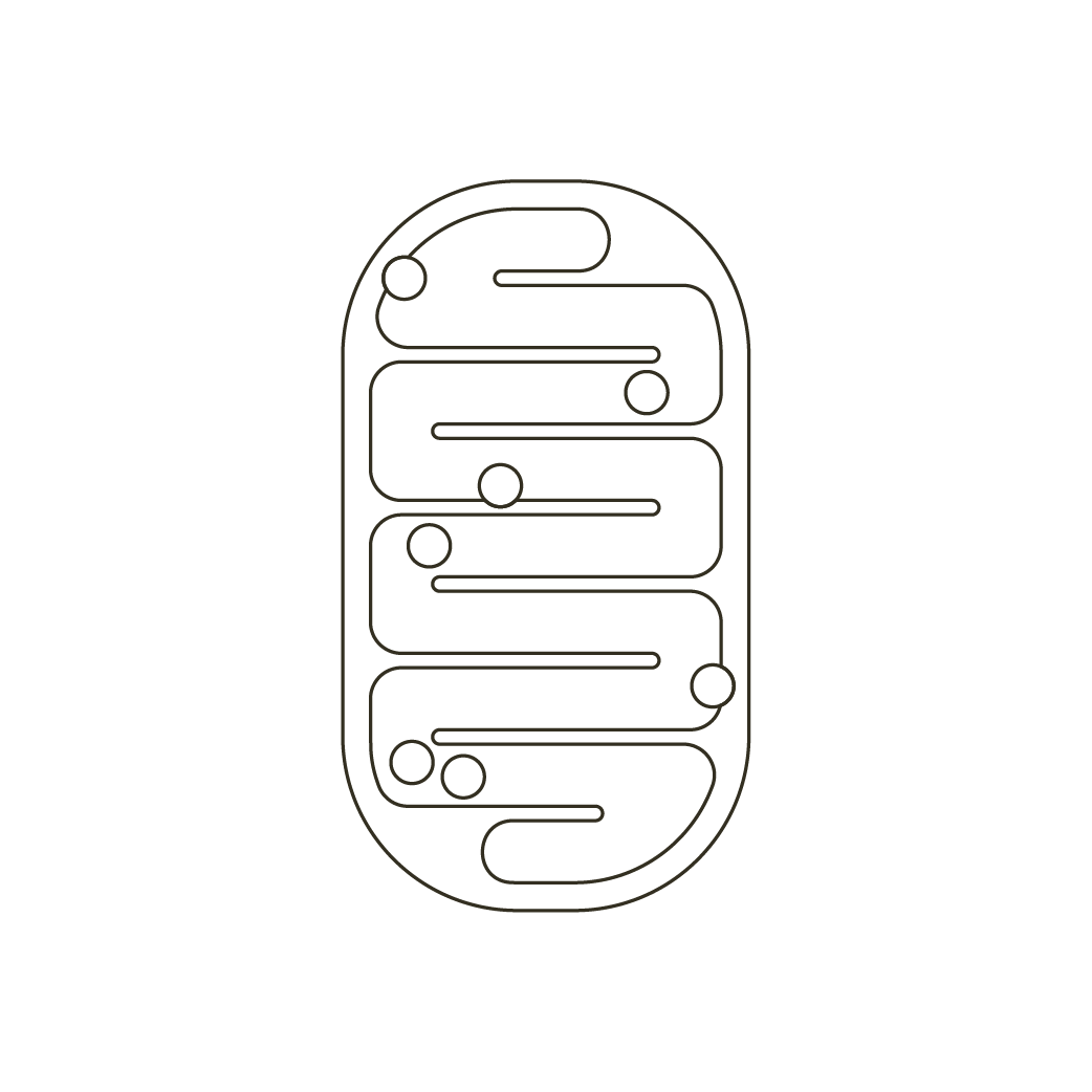 Metabolism Supplements & Energy Supplements | Nullure – nullure.com Metabolism Supplements & Energy Supplements | Nullure – nullure.com