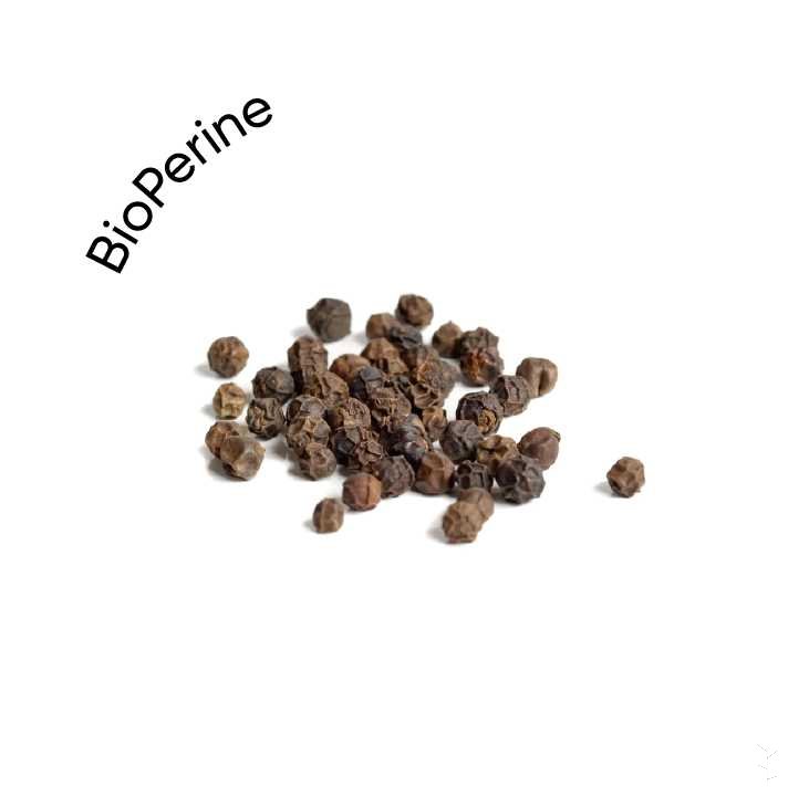 Black Pepper (Piper nigrum extract)