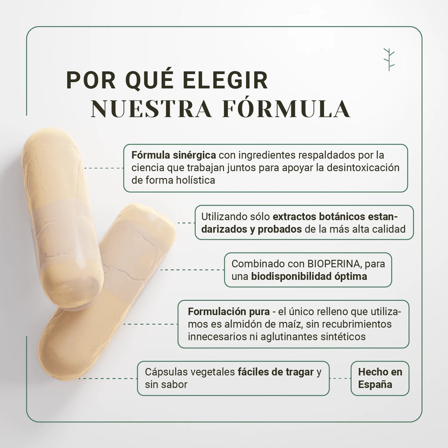 language:es