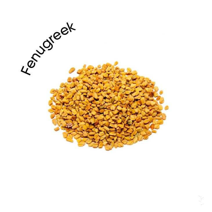 Fenugreek