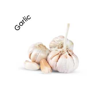 Garlic