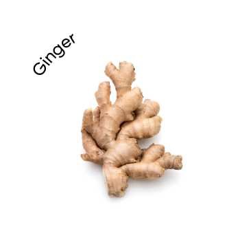 Ginger