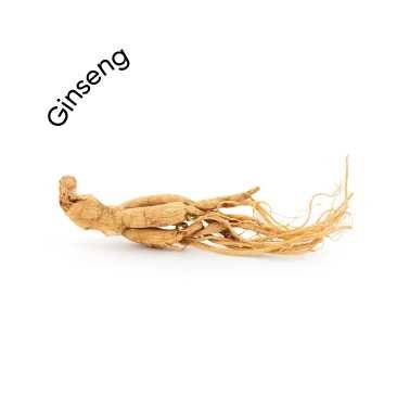 Ginseng