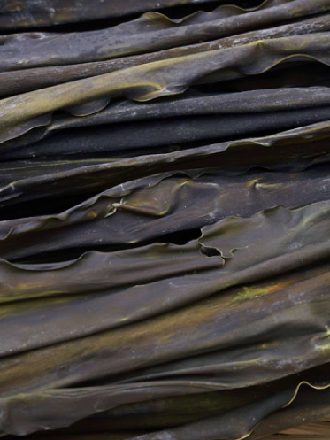 Iodine