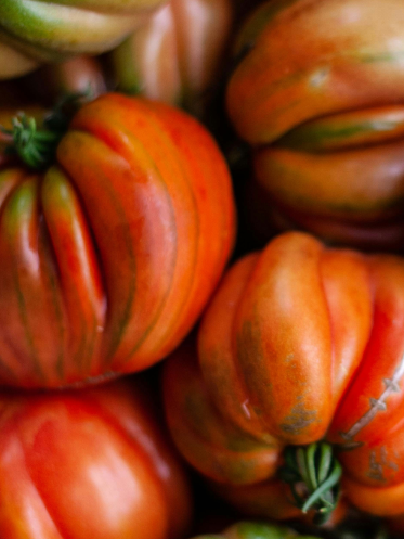 Lycopene