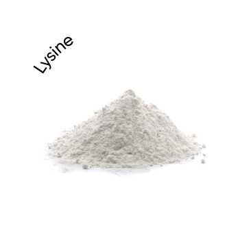 Lysine