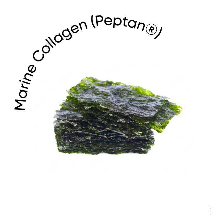 Marine-Collagen-Peptan
