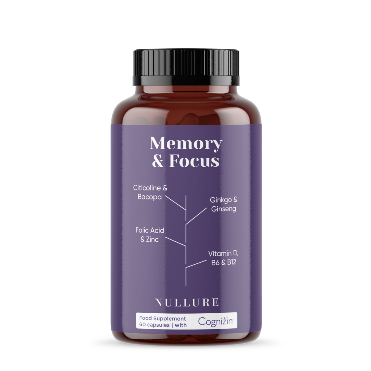 Memory & Focus