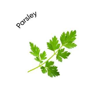 Parsley