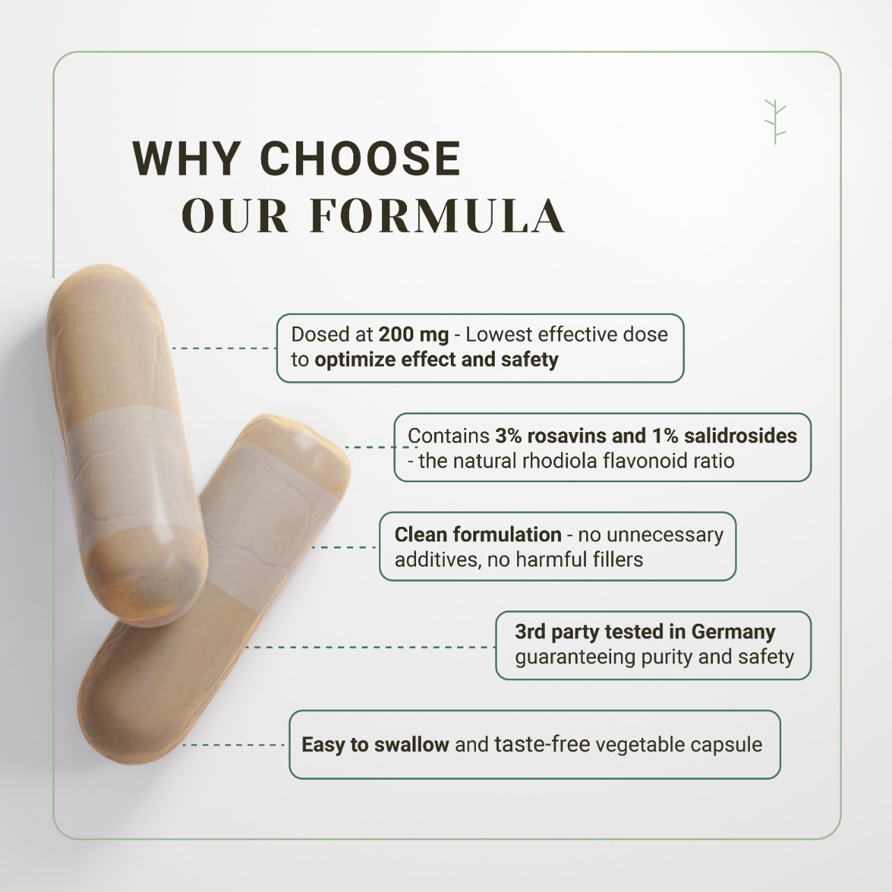 Rhodiola-Rosea-Formel