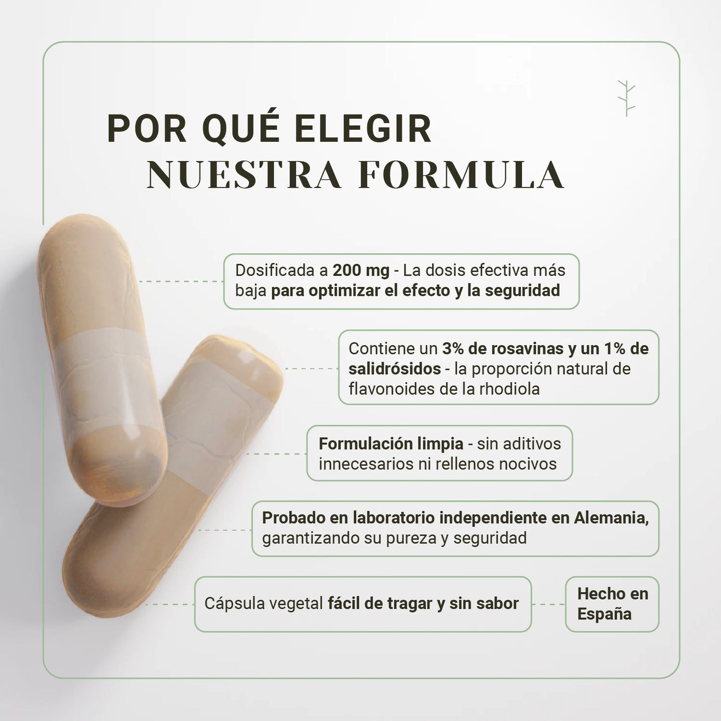 language:es