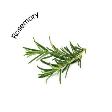 Rosemary