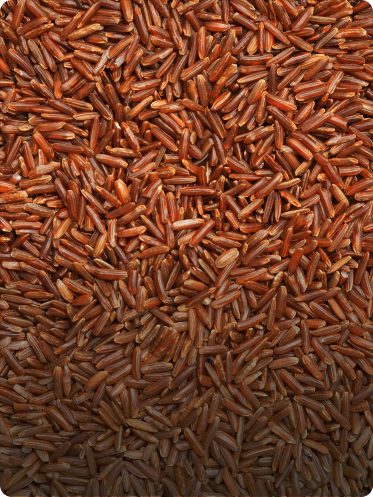 Ingredient One