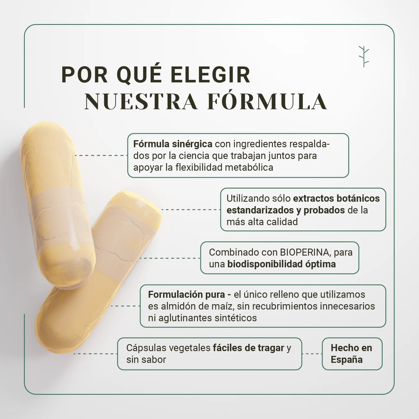language:es