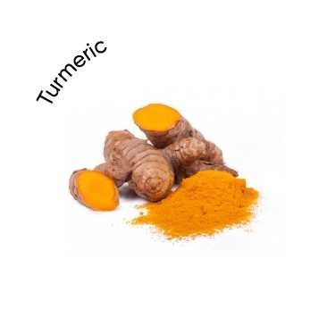 Turmeric (Curcuma longa)