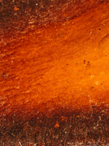 Turmeric (Curcuma longa)