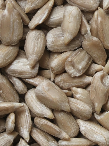 Vitamin B3 (Niacin)