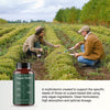 Vegan-Multivitamin-Vegan-Diet